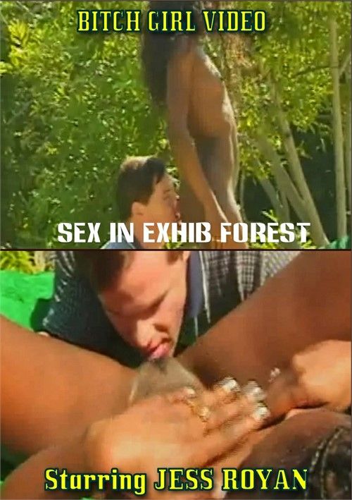 Sex In Exhib Forest